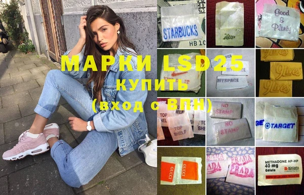 прущие грибы Шали