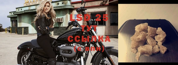 прущие грибы Шали