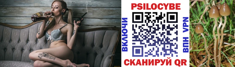 Купить где  Усть-Лабинск  Псилоцибиновые грибы Psilocybe 